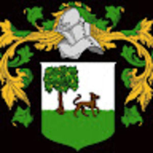 Meet your Posher, Donovan